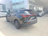 Used 2025 Lexus NX 350 AWD w/ Premium Package image 5