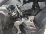 New 2025 Ford Escape ST-Line w/ Tech Pack #1 image 4