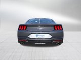 New 2025 Ford Mustang Coupe image 4