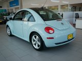 Used 2010 Volkswagen Beetle Final Edition image 5