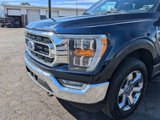 Certified 2022 Ford F150 XLT w/ Equipment Group 302A High image 5
