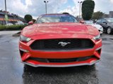 Used 2019 Ford Mustang Premium image 2