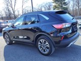 Used 2020 Ford Escape SEL image 5