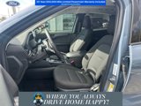 New 2025 Ford Escape Active w/ Tech Pack #1 image 6