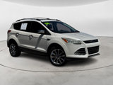 Used 2014 Ford Escape SE w/ SE Chrome Package image 2