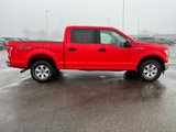 Used 2017 Ford F150 XLT image 6