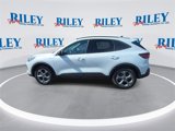 New 2025 Ford Escape ST-Line w/ Cold Weather Package image 6