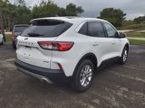 Used 2021 Ford Escape SE w/ Convenience Package image 3