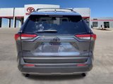 New 2025 Toyota RAV4 XLE Premium image 6