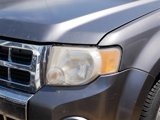 Used 2010 Ford Escape XLT image 2