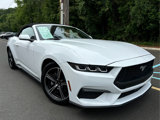 Certified 2024 Ford Mustang Premium image 2