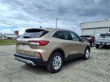 Used 2020 Ford Escape SE image 5