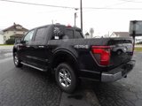 New 2024 Ford F150 XLT w/ Equipment Group 302A MID image 5