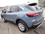 Used 2024 Ford Escape Active image 3