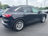 Used 2020 Ford Escape SE image 3