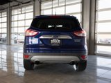 Used 2014 Ford Escape Titanium image 4