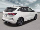 Certified 2024 Ford Escape ST-Line w/ Equipment Group 301A image 3