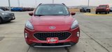 Used 2020 Ford Escape Titanium image 4