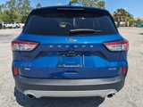 Used 2022 Ford Escape SE w/ Convenience Package image 5