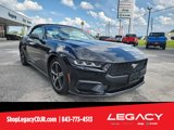Used 2024 Ford Mustang Premium image 6