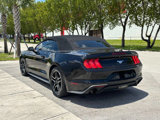 Used 2019 Ford Mustang Premium image 5