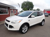 Used 2014 Ford Escape SE w/ Equipment Group 201A image 3