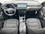 New 2025 Ford Escape Active w/ Tech Pack #1 image 3