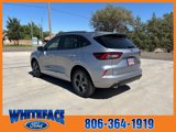 New 2024 Ford Escape ST-Line w/ Tech Pack #1 image 4