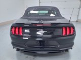 Certified 2020 Ford Mustang Premium w/ Equipment Group 201A image 4