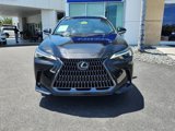 Used 2024 Lexus NX 250 FWD w/ Premium Package image 2