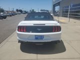 Certified 2023 Ford Mustang Premium image 4