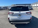 Certified 2022 Ford Escape SEL image 5