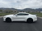 Used 2017 Ford Mustang Premium w/ Ecoboost Performance Package image 2