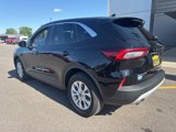 Used 2023 Ford Escape Active image 3