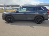 Certified 2024 Honda CR-V Sport image 4