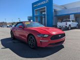 Used 2022 Ford Mustang Premium image 2