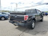 Used 2014 Ford F150 STX image 4