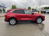 Used 2022 Ford Escape SE w/ Convenience Package image 2