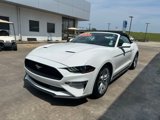Used 2020 Ford Mustang Premium w/ Equipment Group 201A image 3
