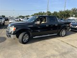 Used 2013 Ford F150 XLT w/ Luxury Equipment Group image 4