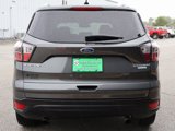 Used 2017 Ford Escape Titanium w/ Equipment Group 301A image 4