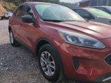 Used 2022 Ford Escape SE w/ Convenience Package image 2