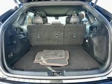 Used 2020 Ford Edge Titanium image 6