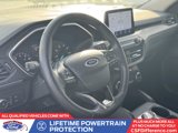 Used 2020 Ford Escape SEL image 2
