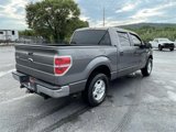 Used 2010 Ford F150 XL image 4