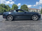 Used 2017 Ford Mustang Premium image 4
