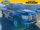 Used 2010 Ford F150 XLT image 2