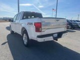 Used 2019 Ford F150 Platinum w/ Equipment Group 701A Luxury image 3