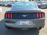 Used 2016 Ford Mustang Coupe image 5