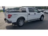 Used 2013 Ford F150 XLT w/ Luxury Equipment Group image 6